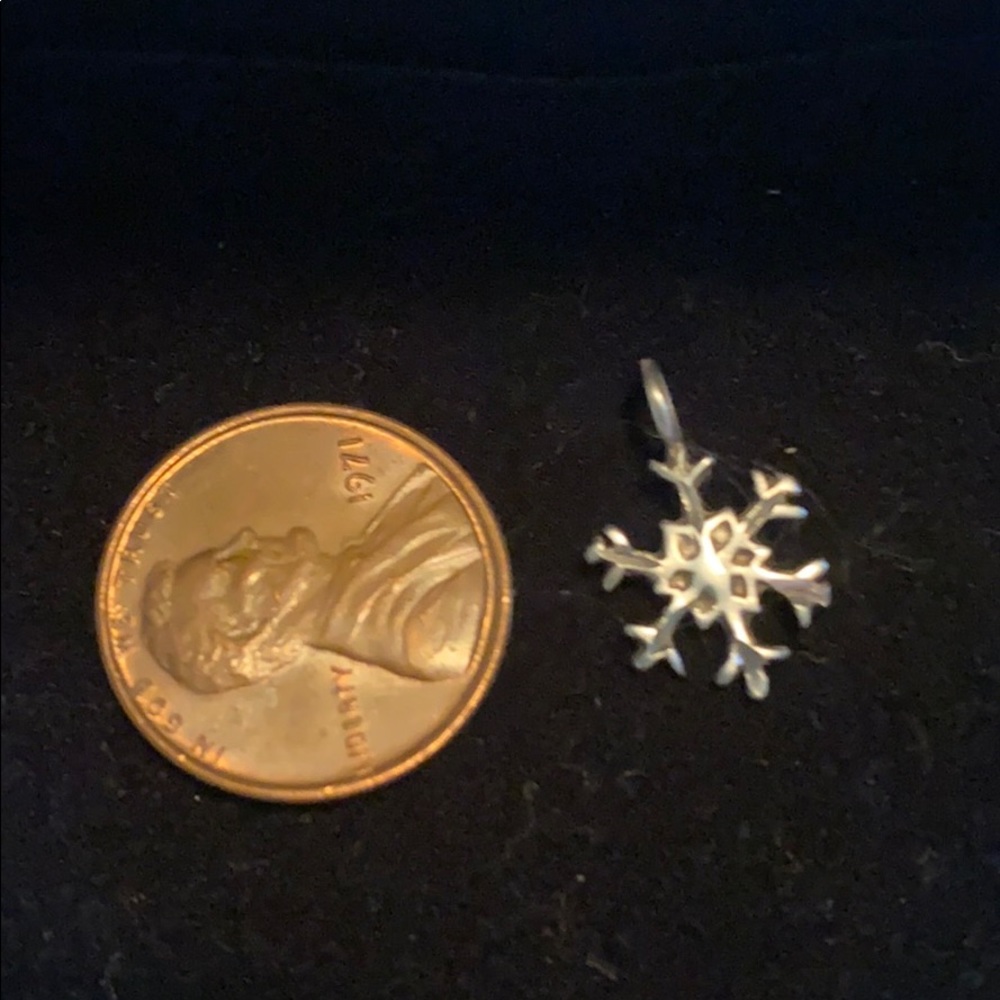 Snowflake Silver charm-small
